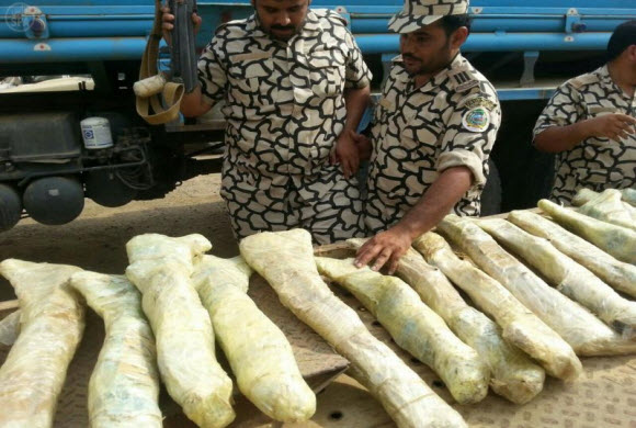 المجاهدين في بني مالك: مصادرة أسلحة بجازان