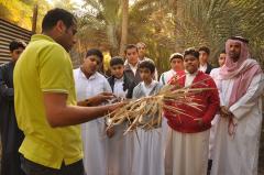 سوسة نخيل الأحساء: أعراضها ومكافحتها
