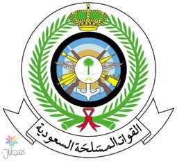 استشهاد الرقيب حكمي: تفاصيل الحادث