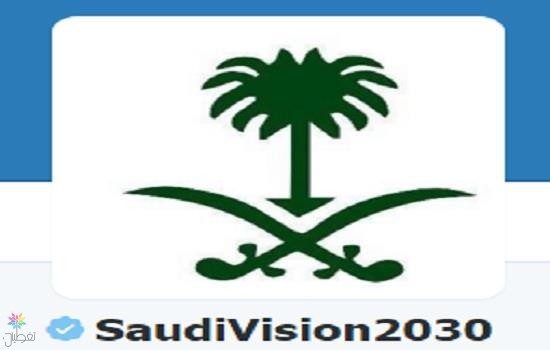رؤية السعودية 2030: أكثر من 185 ألف متابع