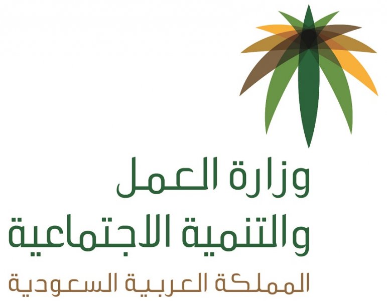 الفصل من الخدمة: 16 مخالفة