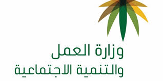 مركز إيواء العمالة المنزلية: تطوير الآلية