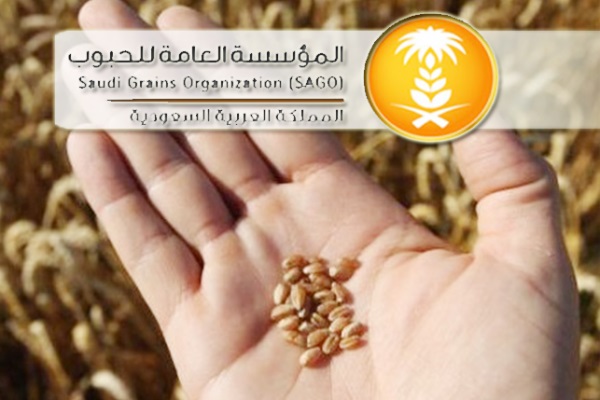 أسماء المقبولين: المؤسسة العامة للحبوب - 2016