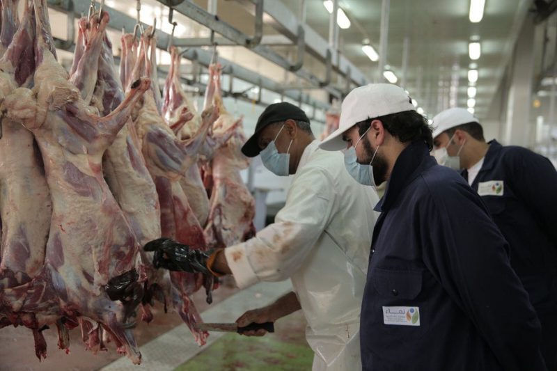 "نماء" تدشن مشروع "أضحيتي لأهل بلدي" لتوزيع الأضاحي على 10 آلاف أسرة