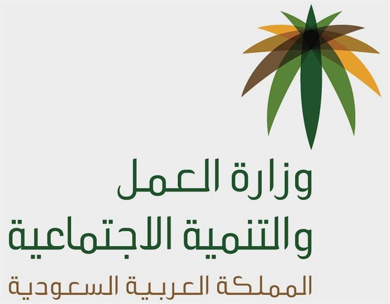 "هدف": 233 مركزًا معتمدا لضيافات الأطفال متاحة للمرأة السعودية العاملة ضمن برنامج "قرّة"