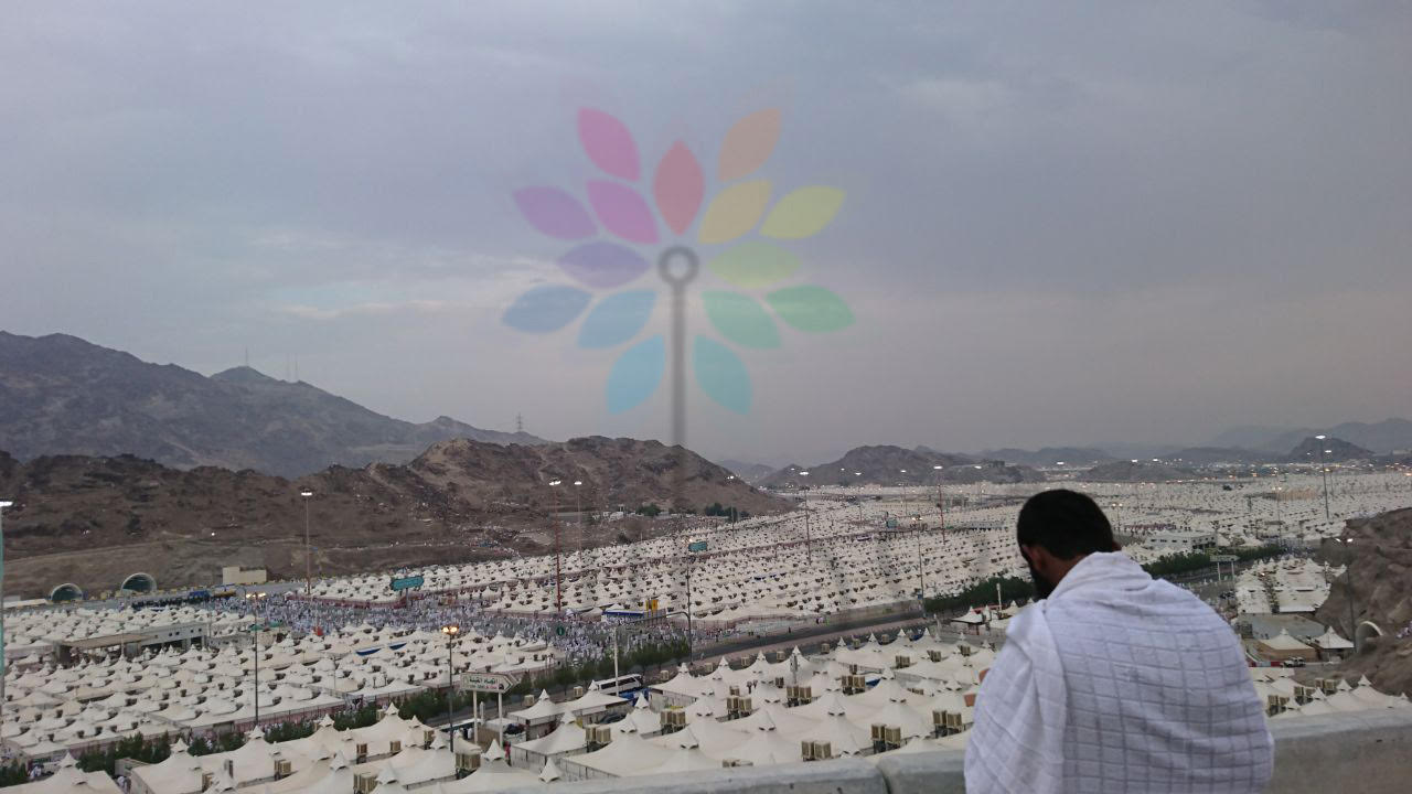 «الإحصاء»: مليونان و368 ألف حاج إجمالي حجاج الداخل والخارج