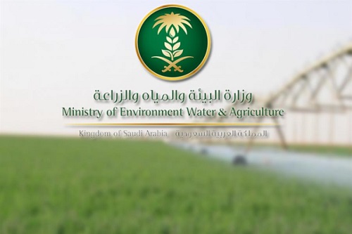 تعرف على أنواع المحاصيل المحظور زراعتها أو تصديرها في المملكة