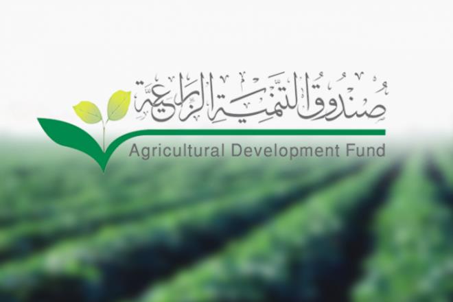 صندوق التنمية الزراعية موّل 46 جمعية تعاونية بـ394 مليون ريال