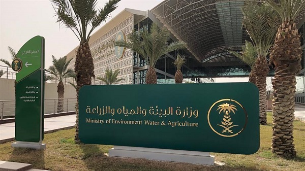 “البيئة”: صرف مبالغ الدورة الـ16 لدعم قطاع صغار مربي الماشية بأكثر من 133 مليون ريال