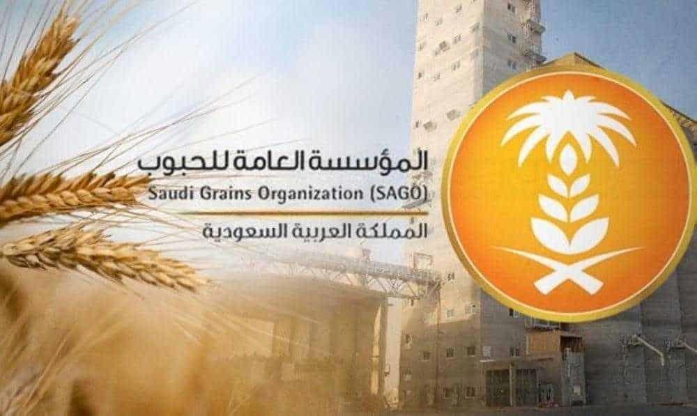 "الحبوب" تعلن زيادة سعر شراء القمح من المزارعين.. وتستكمل المرحلة الثانية من برنامج تخصيص قطاع المطاحن