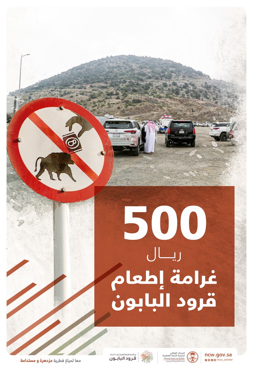 500 ريال عقوبة إطعام قرود البابون