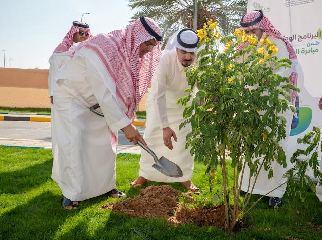 محافظ حفرالباطن يدشن البرنامج الوطني للتشجير بالمحافظة