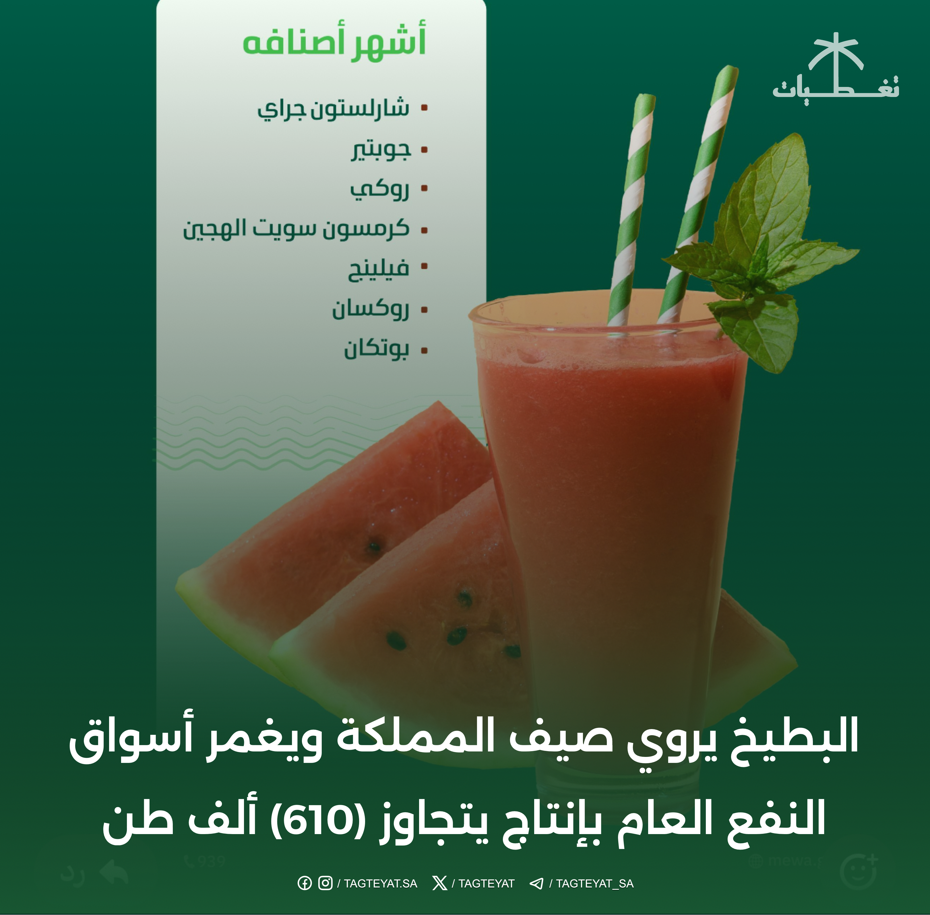 البطيخ يروي صيف المملكة ويزود الأسواق العامة بأكثر من (613) ألف طن
