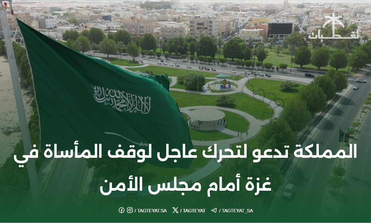 المملكة تدعو لتحرك عاجل لوقف المأساة في غزة أمام مجلس الأمن